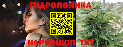 прущие крисы Канаш