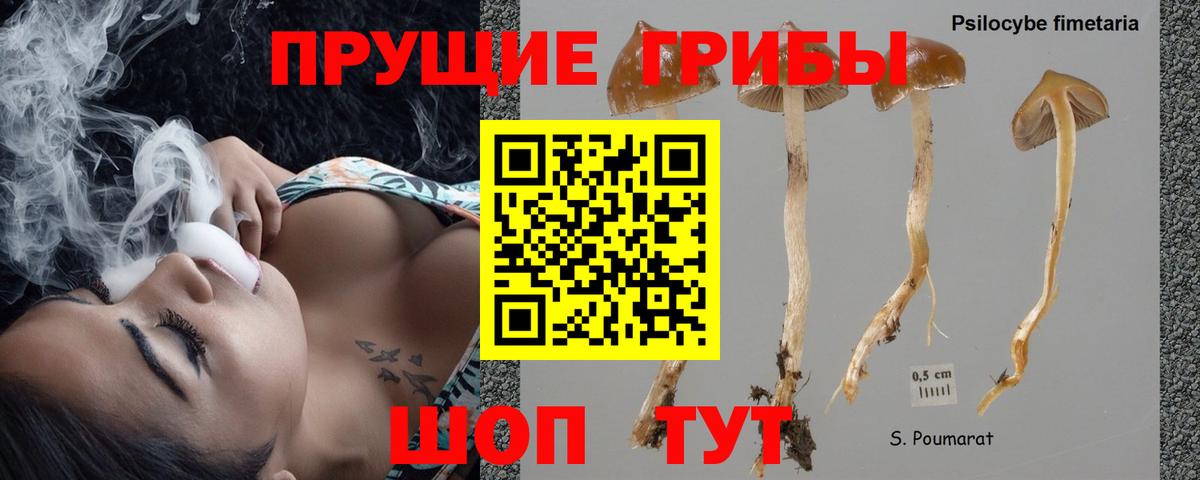 Псилоцибиновые грибы прущие грибы  Вход с VPN  Бузулук 